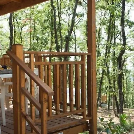 Chianti Glamping 3* Volpaia